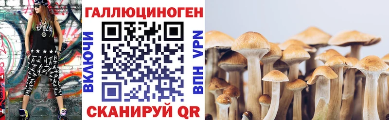 магазин продажи наркотиков  Нахабино  Псилоцибиновые грибы Psilocybe 